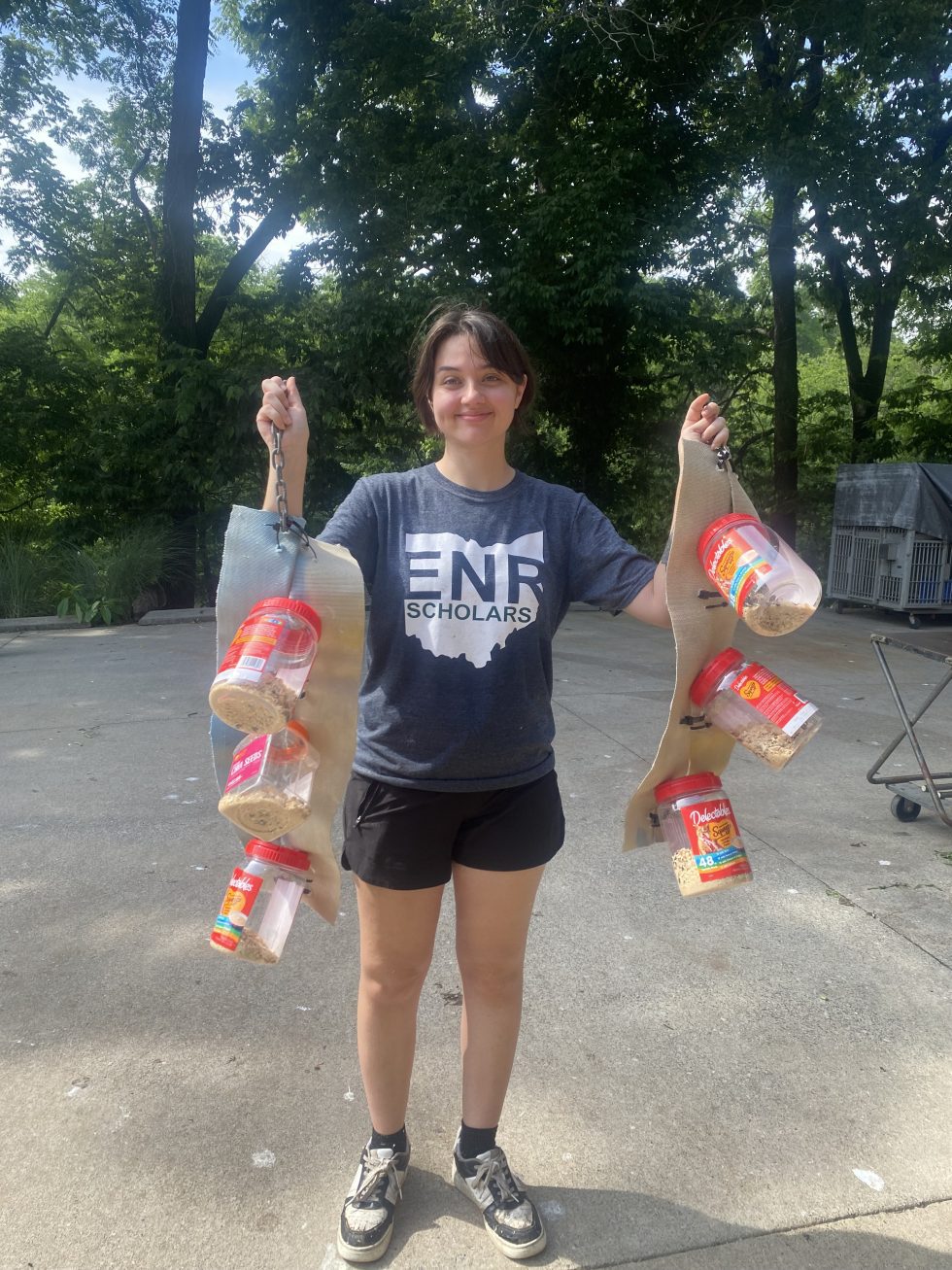 Primate Rescue Center Kentucky, USA